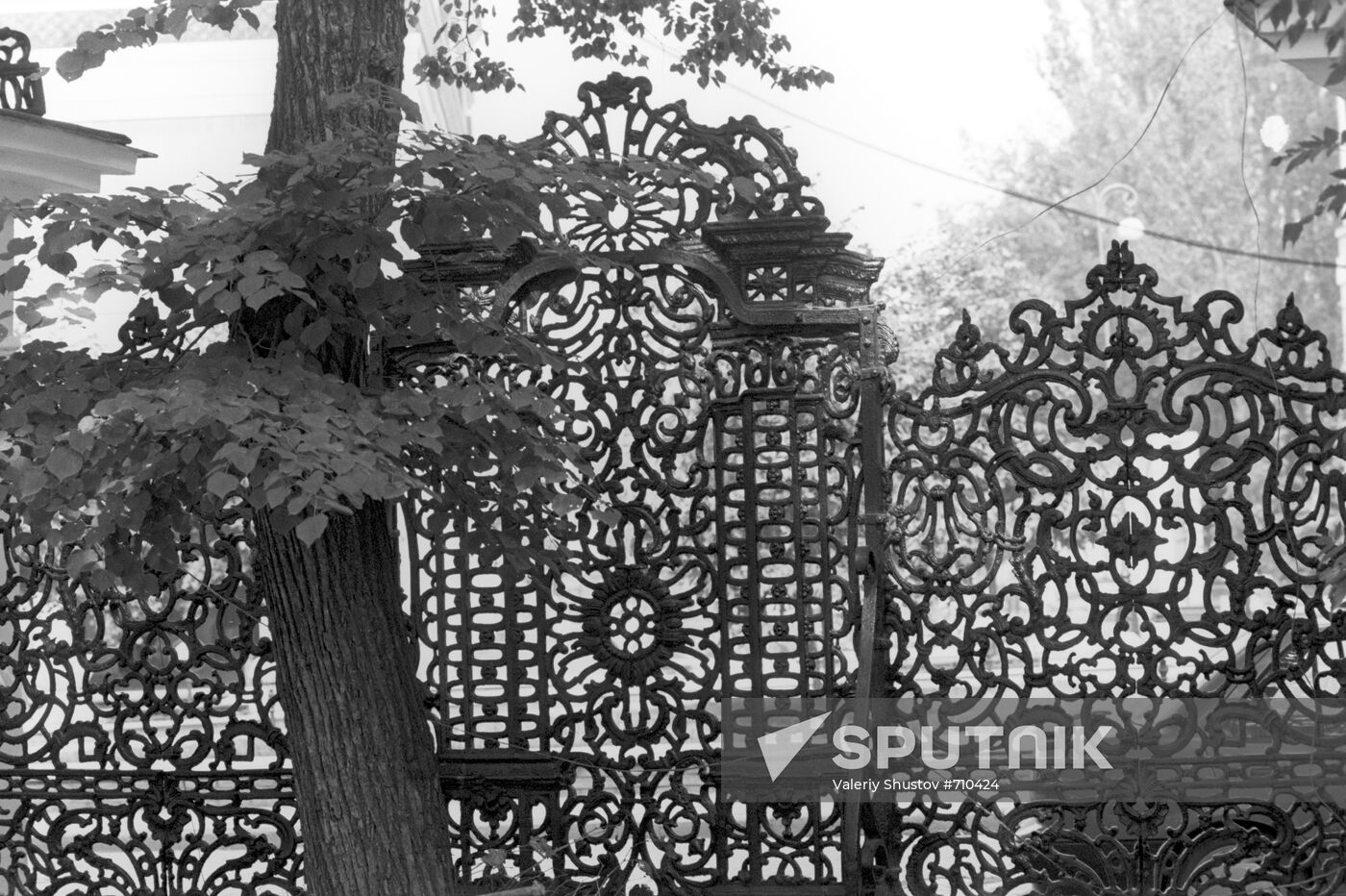 Carved gate of the Demidov estate