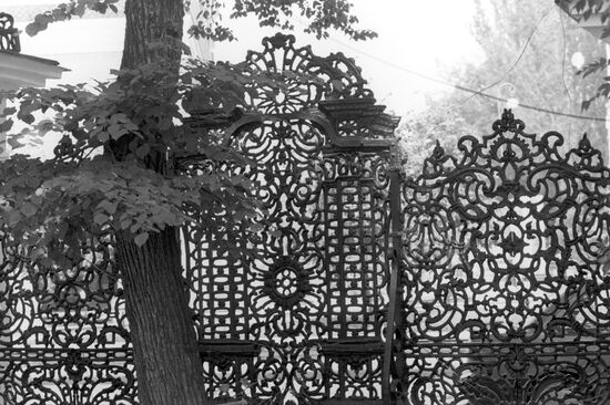 Carved gate of the Demidov estate