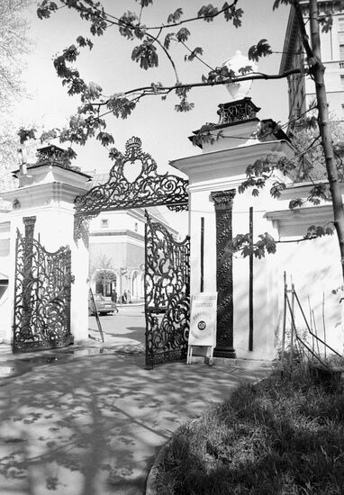 Carved gate of the Demidov estate