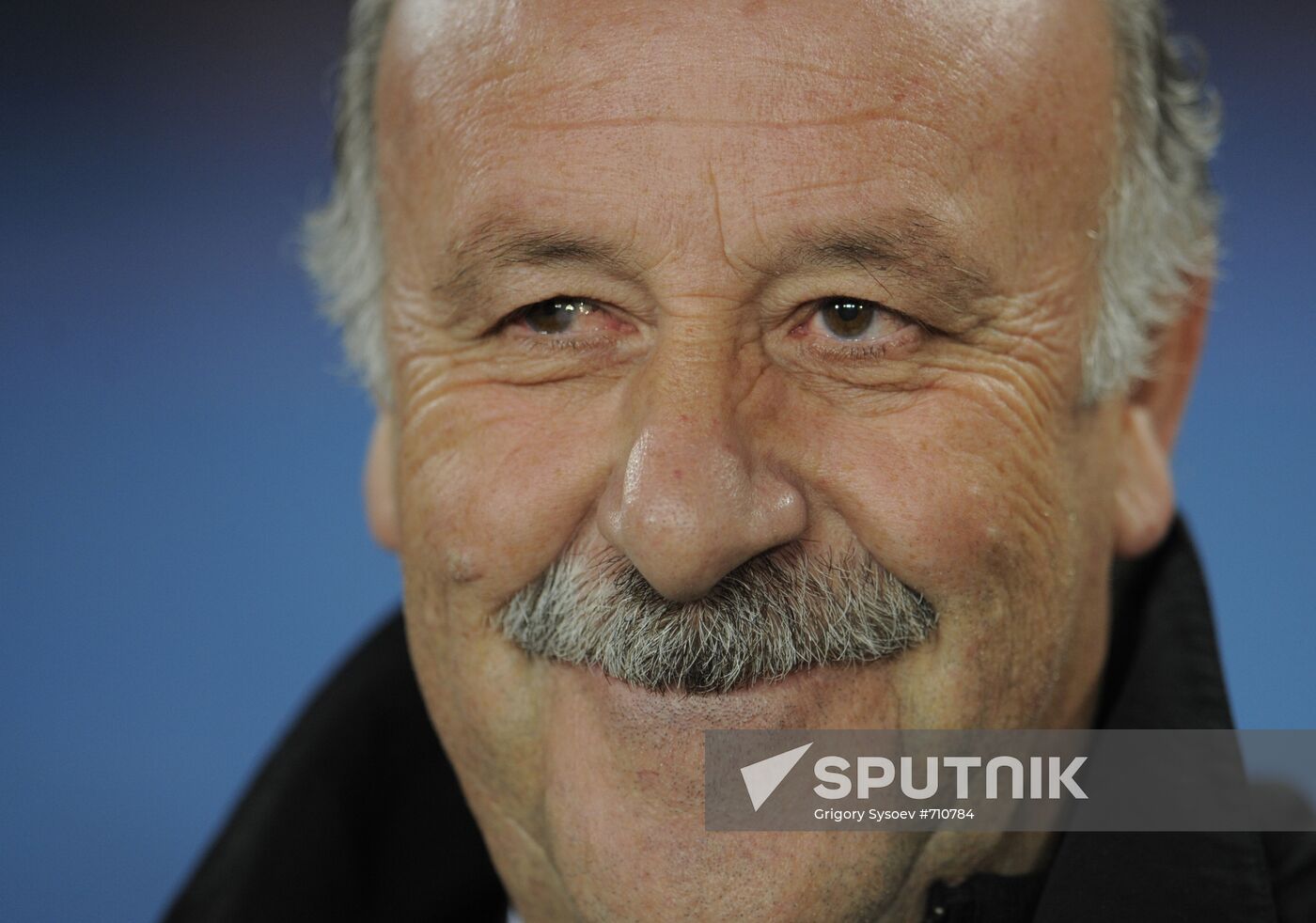 Vicente del Bosque