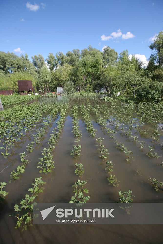 Flooded garden plot