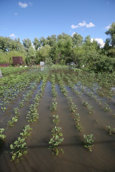 Flooded garden plot