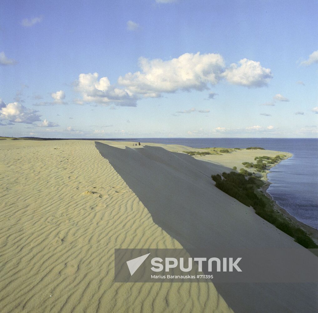 Dunes at Curonian Spit