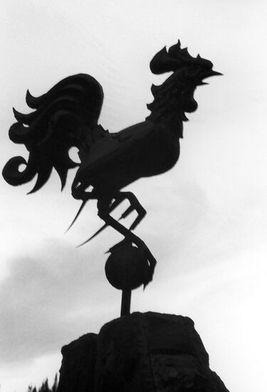Bronze rooster figure