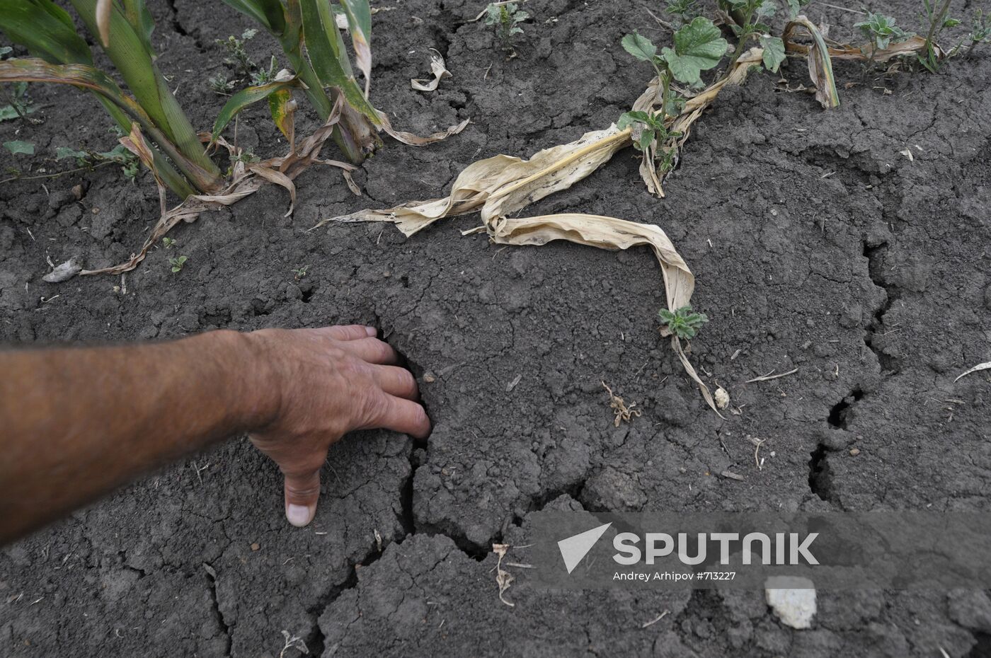 Drought in Voronezh Region