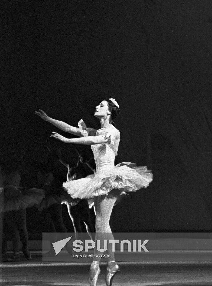 "Sleeping Beauty"