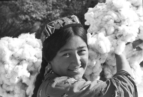 Cotton harvester Saimo Karamatova