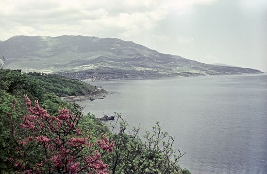 Crimean Livadia