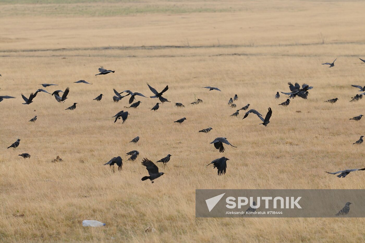 Russia's Chelyabinsk Region hit by drought