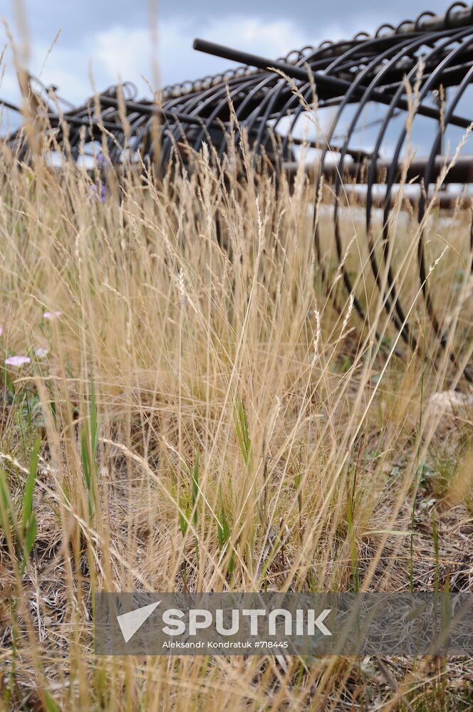 Russia's Chelyabinsk Region hit by drought