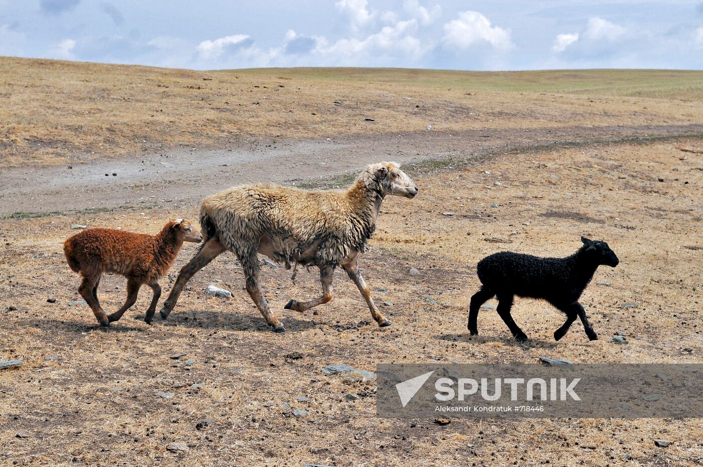 Russia's Chelyabinsk Region hit by drought