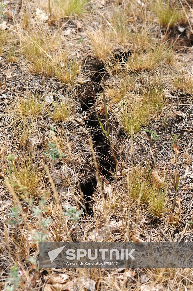 Russia's Chelyabinsk Region hit by drought