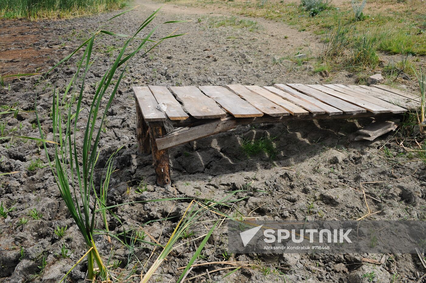 Russia's Chelyabinsk Region hit by drought