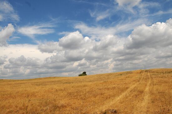 Russia's Chelyabinsk Region hit by drought