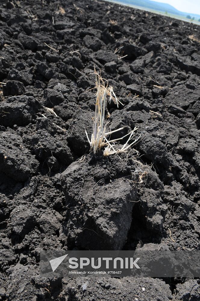 Drought in Chelyabinsk Region