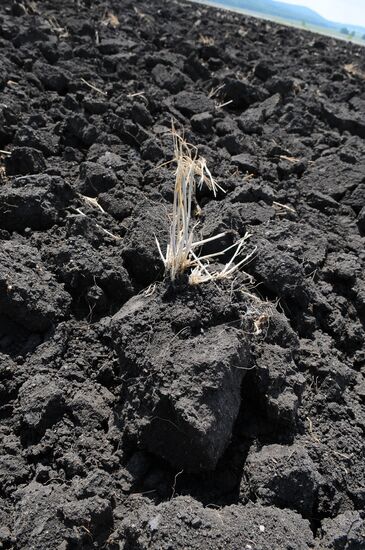 Drought in Chelyabinsk Region