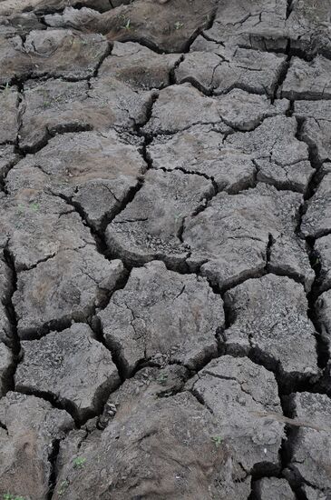 Drought in Chelyabinsk Region