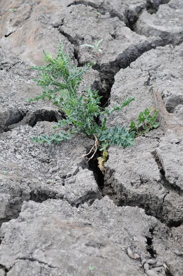 Drought in Chelyabinsk Region