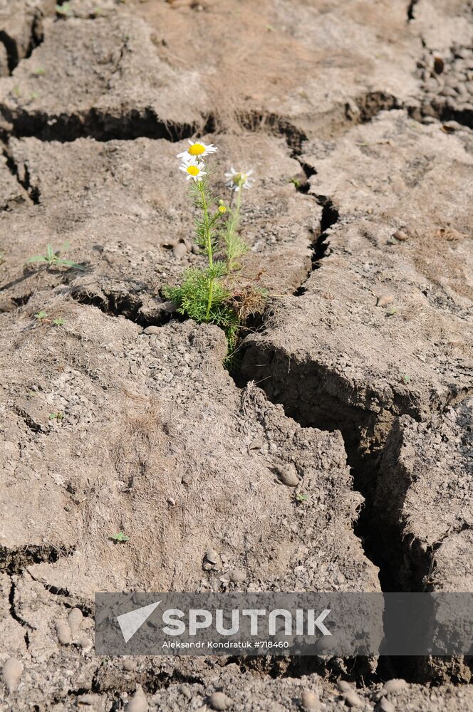 Drought in Chelyabinsk Region