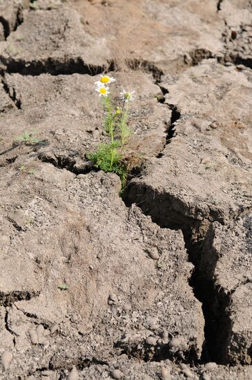 Drought in Chelyabinsk Region