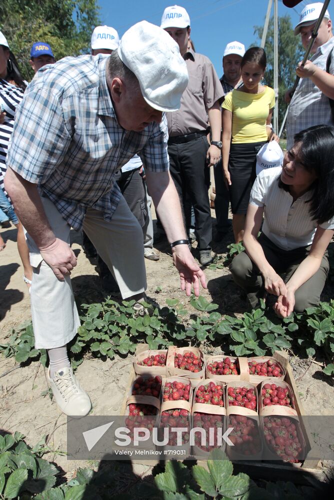 Vladimir Zhirinovsky