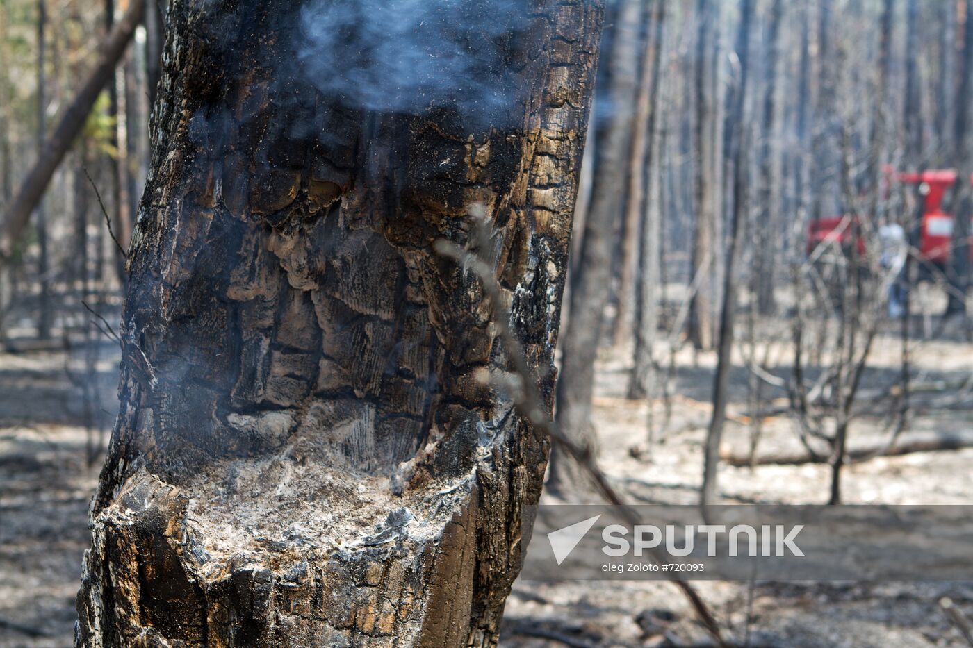 Extinguishing forest fire in Nizhny Novgorod Region