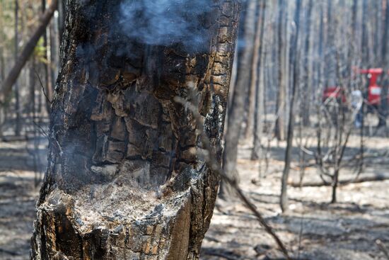 Extinguishing forest fire in Nizhny Novgorod Region