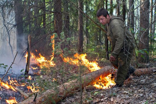 Extinguishing forest fire in Nizhny Novgorod Region