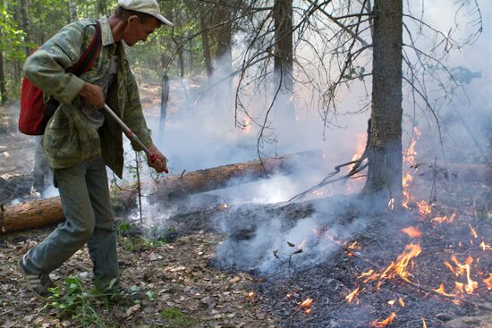 Extinguishing forest fire in Nizhny Novgorod Region