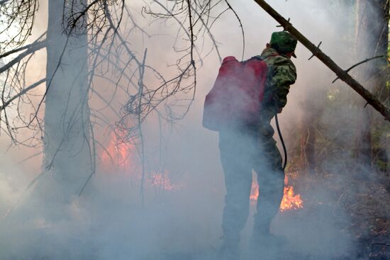Extinguishing forest fire in Nizhny Novgorod Region