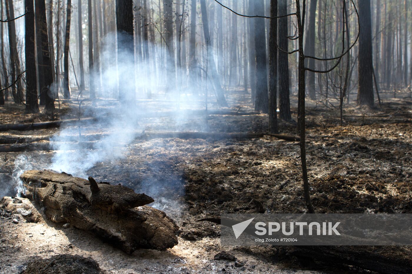 Extinguishing forest fire in Nizhny Novgorod Region