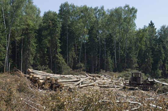 Khimki forest felling begins from the Sheremetyevo side