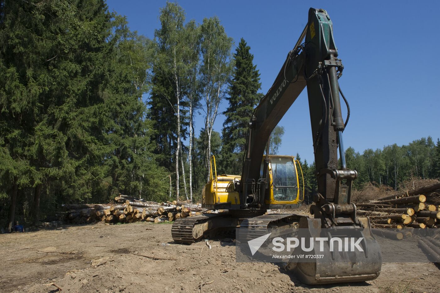 Khimki forest felling begins from the Sheremetyevo side