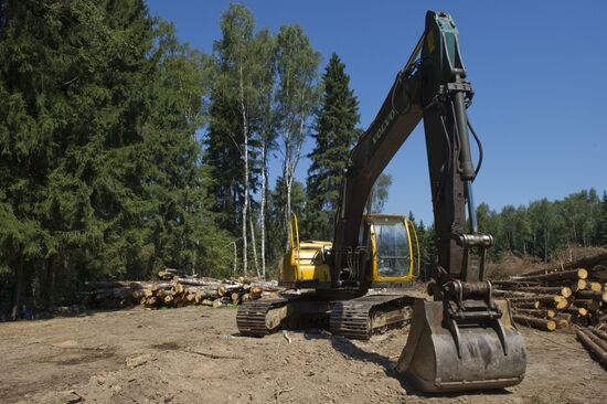 Khimki forest felling begins from the Sheremetyevo side