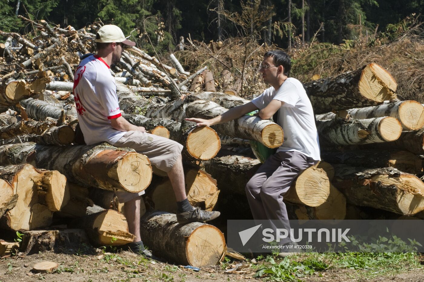 Khimki forest felling begins from the Sheremetyevo side