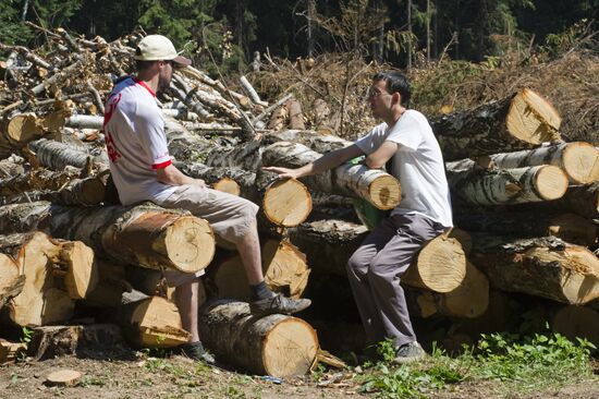 Khimki forest felling begins from the Sheremetyevo side