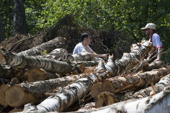 Khimki forest felling begins from the Sheremetyevo side