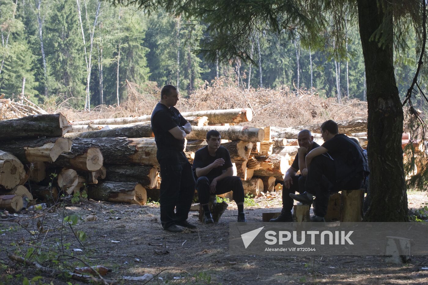 Khimki forest felling begins from the Sheremetyevo side