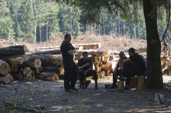 Khimki forest felling begins from the Sheremetyevo side