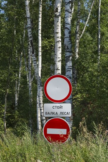 Khimki forest felling begins from the Sheremetyevo side