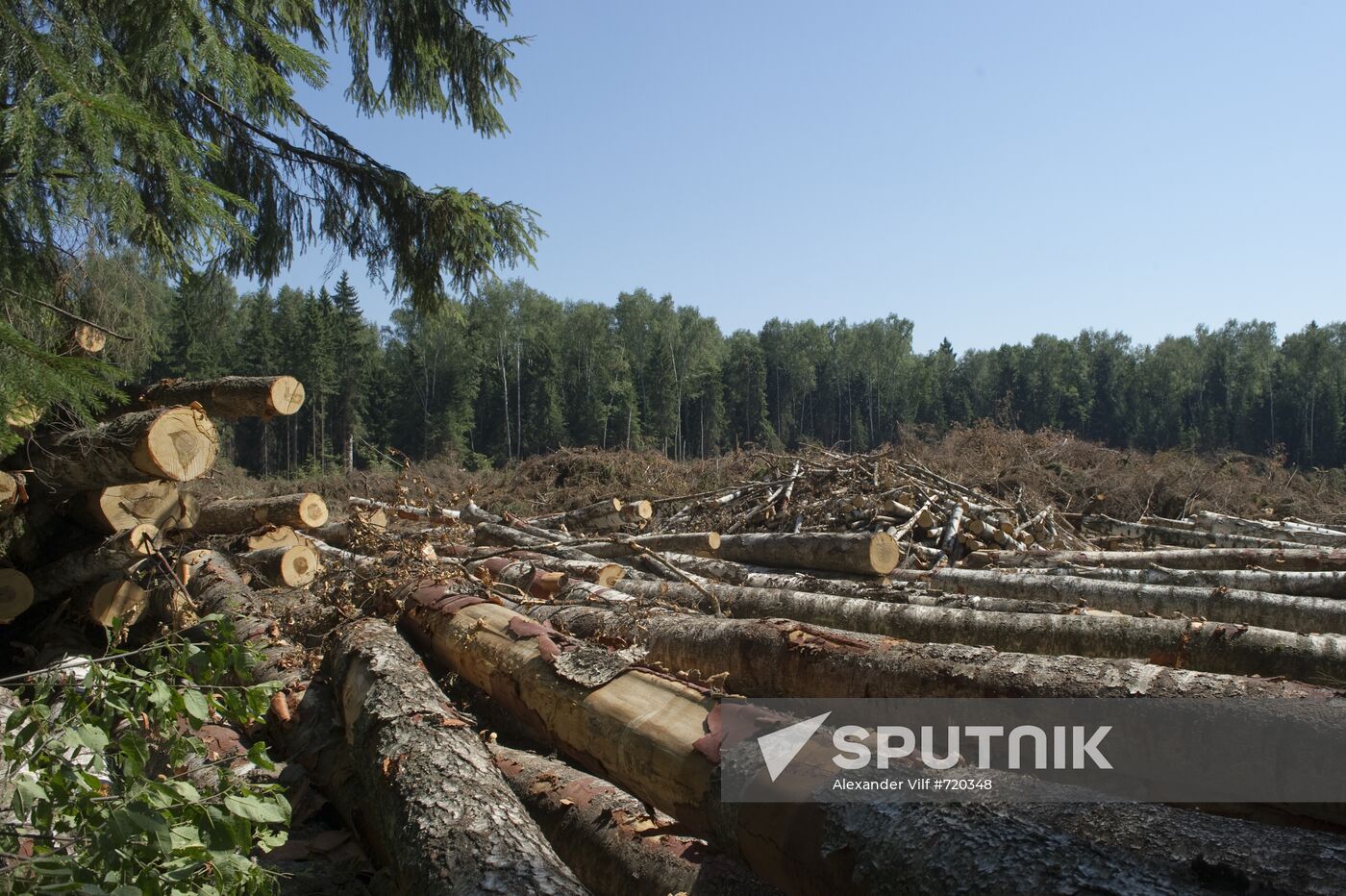 Khimki forest felling begins from the Sheremetyevo side
