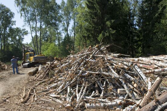 Khimki forest felling begins from the Sheremetyevo side