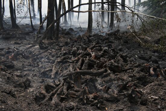 Battling peat bog fires near Moscow