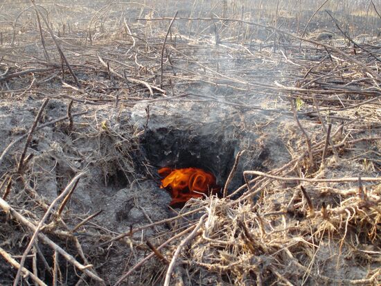 Extinguishing peat-bog fires near Moscow