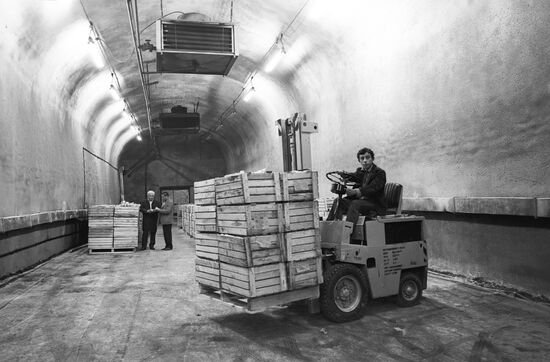 Transport tunnel of underground fruit storage