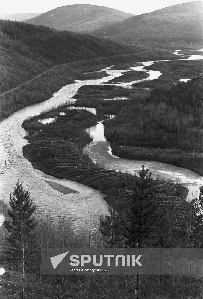 Irkutsk taiga forest