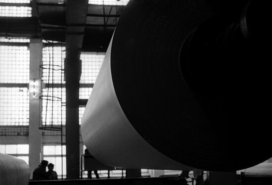 Kondopoga Pulp and Paper Plant
