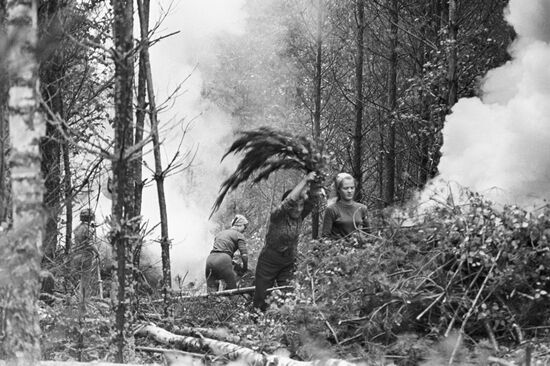 Forest cleaning