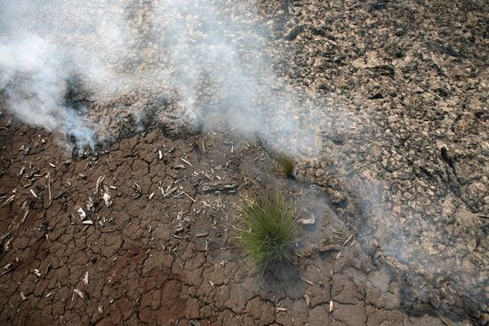 Peat bogs burn in Moscow Region