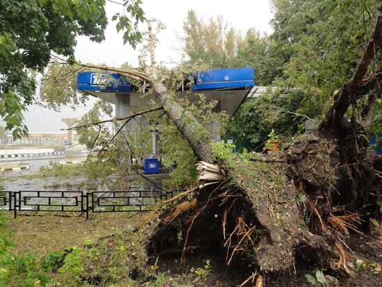 Consequences of hurricane, Moscow